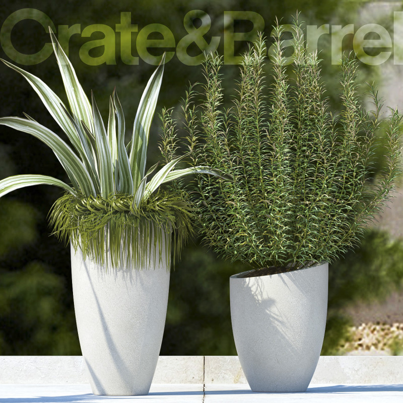 PLANTS 61 3D मॉडल .c4d .max .obj .3ds .fbx .stl .blend