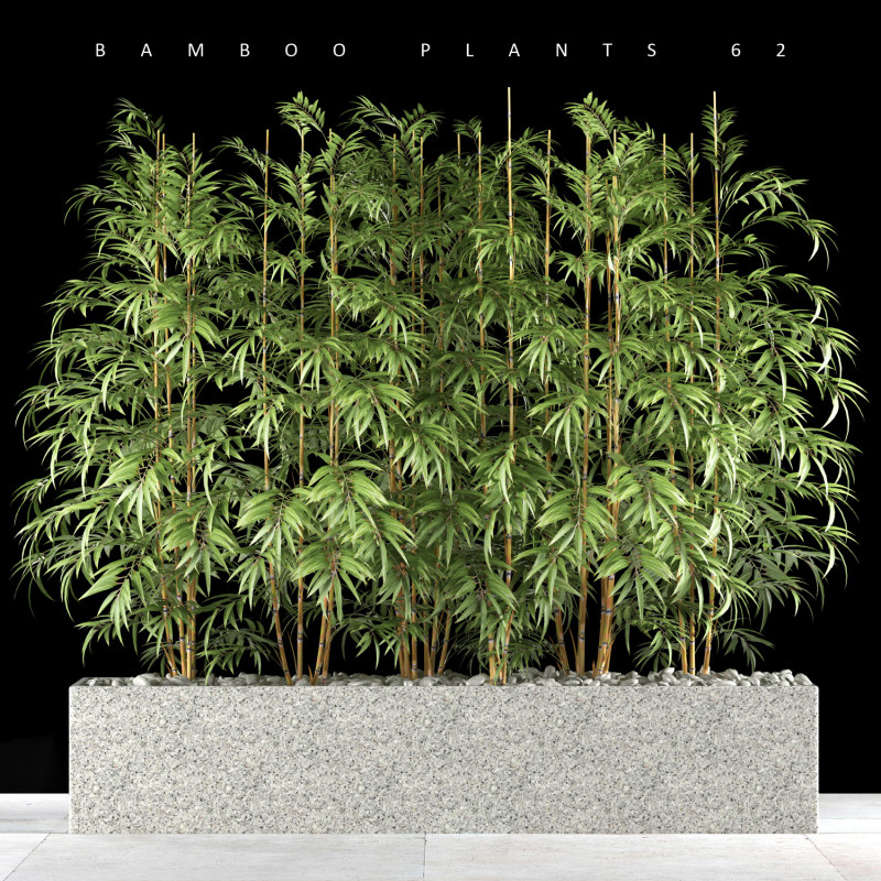 BAMBOO PLANTS 62 3D Модель .c4d .max .obj .3ds .fbx .stl .blend 