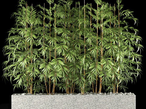 BAMBOO PLANTS 62 Modèle 3D