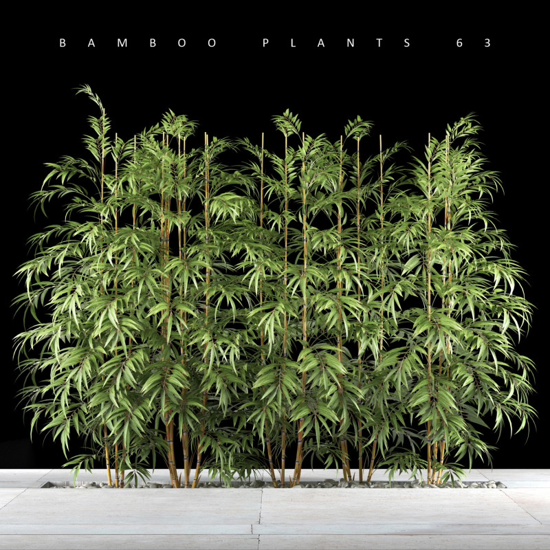 BAMBOO PLANTS 63 Model 3D .c4d .max .obj .3ds .fbx .stl .blend