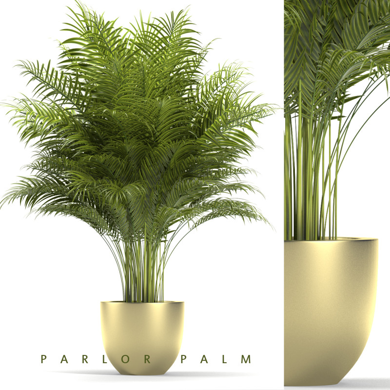 PLANTS 67 Model 3D .c4d .max .obj .3ds .fbx .stl .blend 