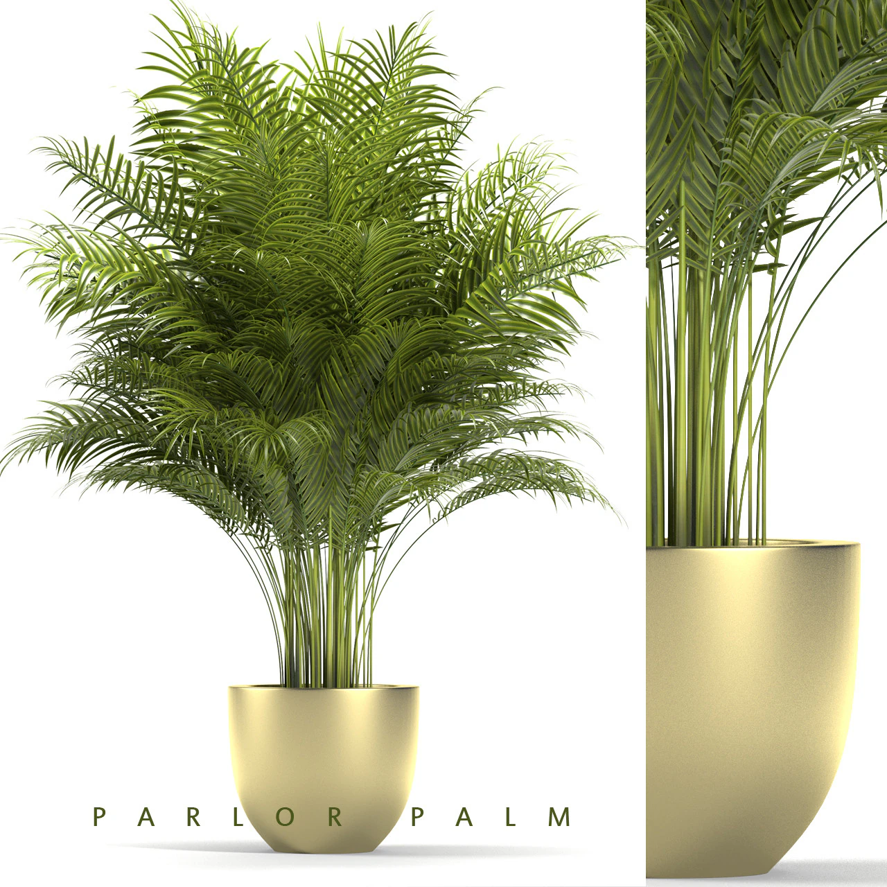 PLANTS 67 3D Model .c4d .max .obj .3ds .fbx .stl .blend