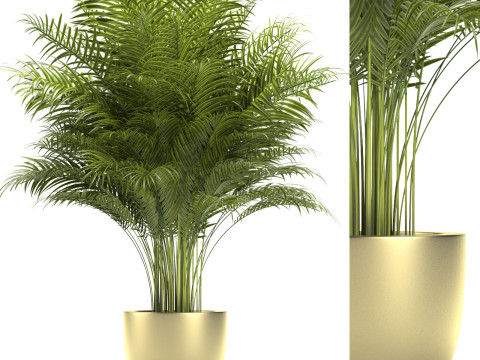 PLANTS 67 3D Model