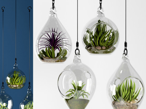 GLASS HANGING BOWLS 3D Модель