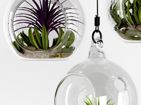 GLASS HANGING BOWLS 3D Model