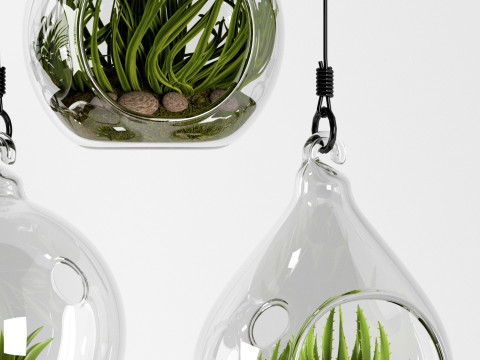 GLASS HANGING BOWLS 3D Model