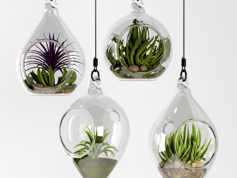 GLASS HANGING BOWLS 3D Model
