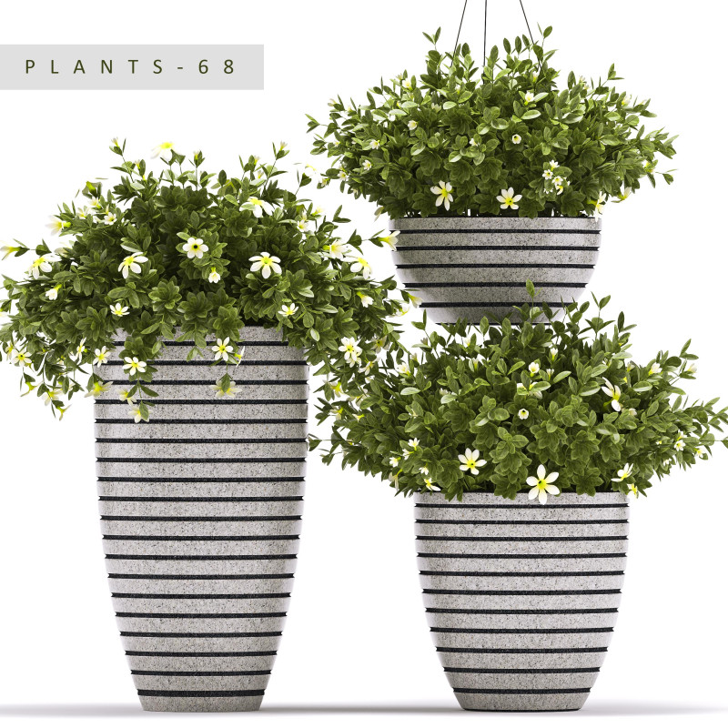 PLANTS 68 Modelo 3D .c4d .max .obj .3ds .fbx .stl .blend 
