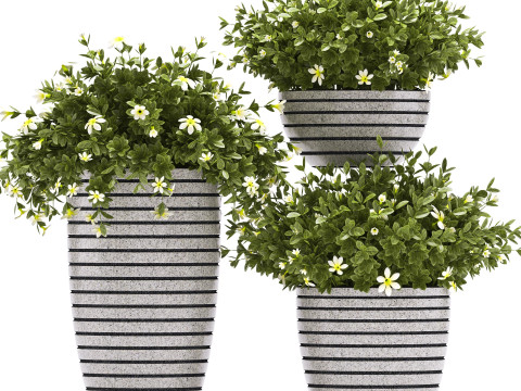 PLANTS 68 Modelo 3D