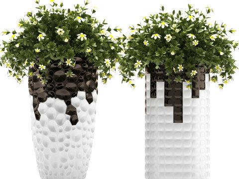 PLANTS 69 Model 3D