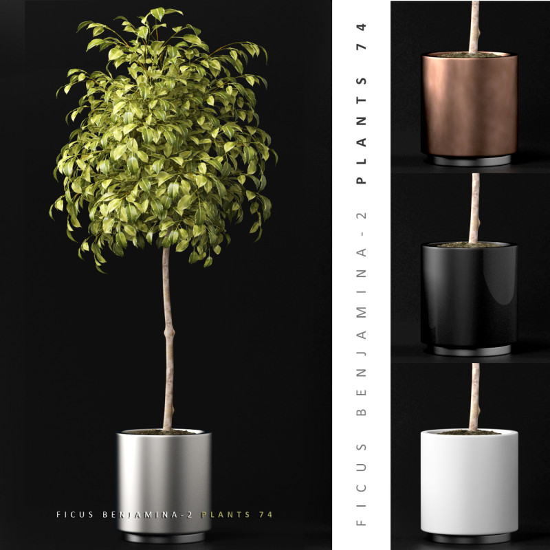 PLANTS 74 Modelo 3D .c4d .max .obj .3ds .fbx .stl .blend 