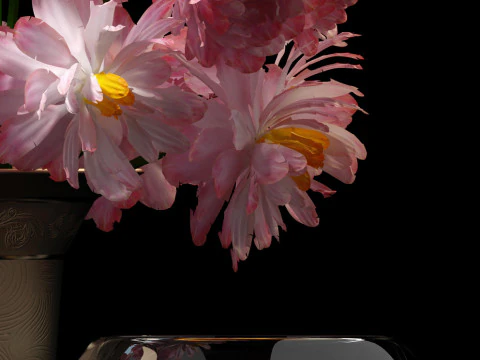 Flower set 11 3D Model