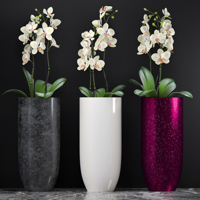 ORCHID 7 3D Model .c4d .max .obj .3ds .fbx .stl .blend 