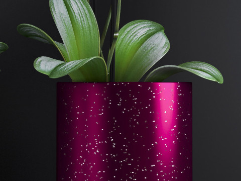 ORCHID 7 3D Model