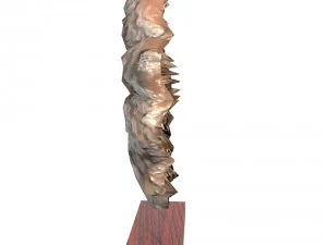decorative shell on wooden stand 3D Model