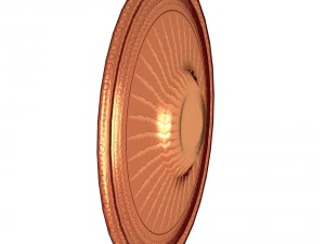 round shield with sun image 3D Model