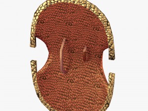 shield with curved ornament 3D Модель