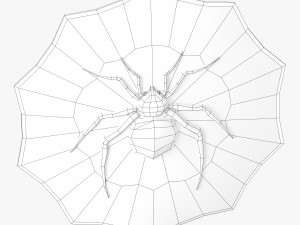 spider decorated shield Modèle 3D