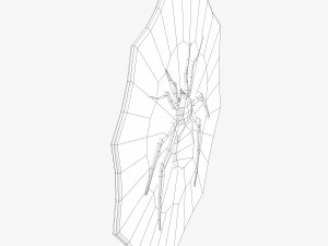 spider decorated shield Modèle 3D