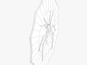 거미 장식 방패 3D 모델