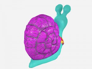 cartoonish low-poly snail Modelo 3D