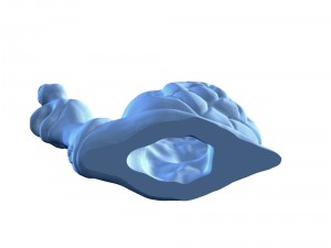 hi-poly snail sculpt 3D Model