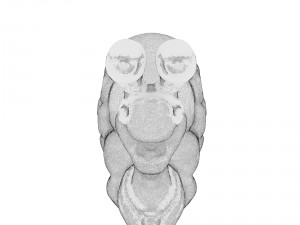 hi-poly snail sculpt 3D Model