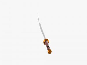 decorated sword Modèle 3D