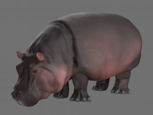 hippo 3D Модель