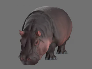 hippo 3D Model