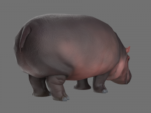 hippo 3D Модель