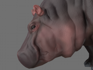 hippo 3D Модель