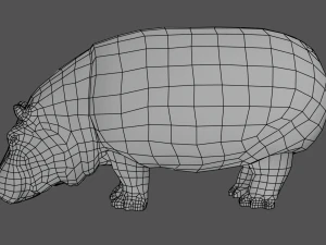 hippo 3D Model