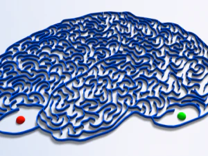 labyrinthe 15 Modèle 3D