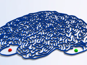 maze 15 3D Model