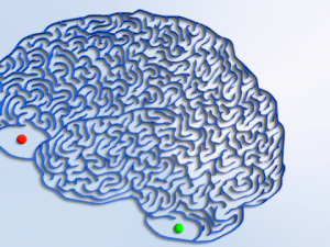maze 15 3D Model