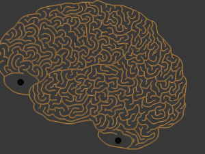 maze 15 Modèle 3D