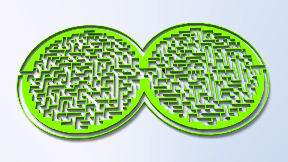 maze 24 3D Model .c4d .max .obj .3ds .fbx .stl .blend 