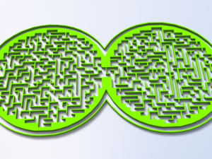 maze 24 3D Модель
