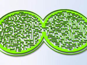 labirinto 24 Modello 3D