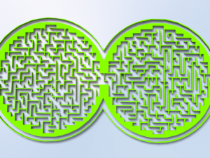 maze 24 3D Model