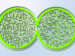 maze 24 3D Model