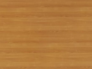 house bird 3D Model