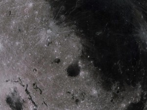 moon collection 3D Модель