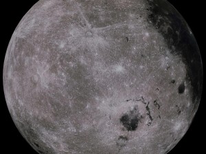 moon collection 3D Модель