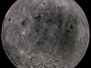 moon collection 3D Модель
