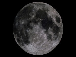 moon collection 3D Модель