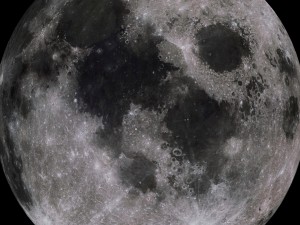 moon collection 3D Модель