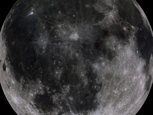 moon collection 3D Модель