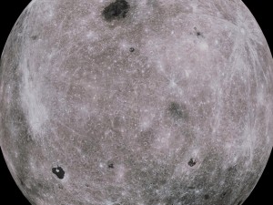 moon collection 3D Модель